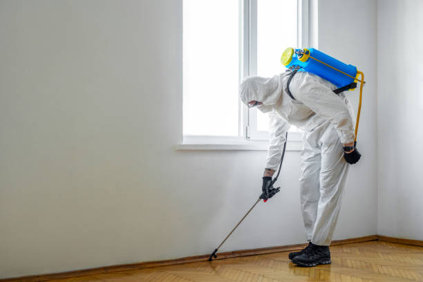 Best Pest Prevention Services  in Islamorada Village Of Islands, FL